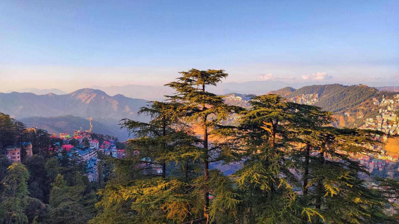 Hotel Taj Palace Near Mall Road Shimla Exterior foto